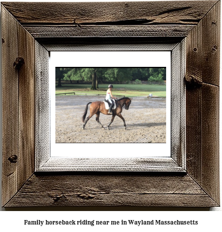 family horseback riding near me in Wayland, Massachusetts